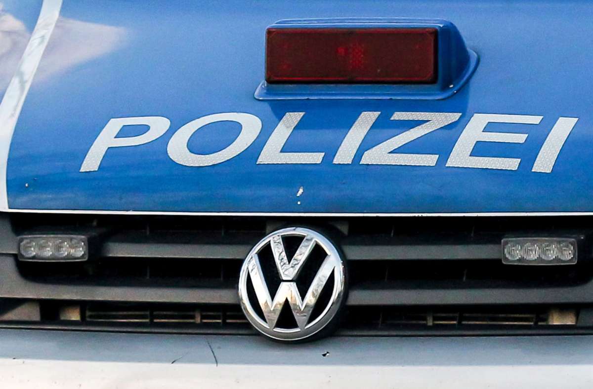 Hund in Besigheim überfahren: Polizei sucht Audi-Fahrer