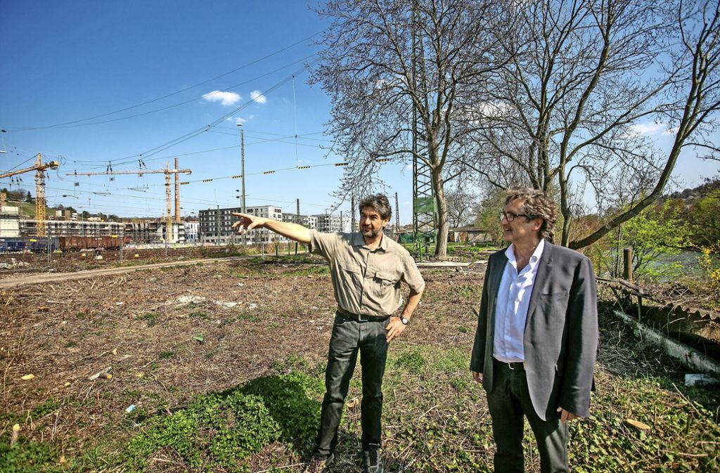 Diplom-Biologe Jürgen Deuschle vom Landschaftsbüro läuft mit Michael Höger vom Grünflächenamt über das Gelände des geplanten Neckaruferparks.