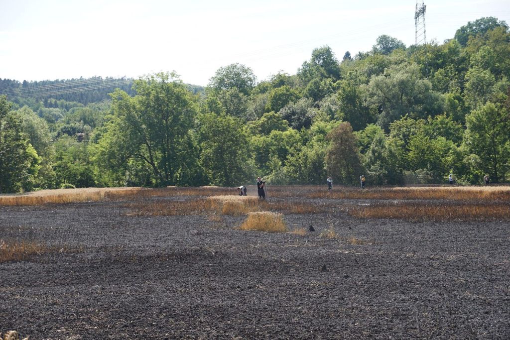 23.07.2019 Auf einem Getreidefeld bei Dettingen hat sich ein Feuer auf vier Hektar Fläche ausgebreitet.