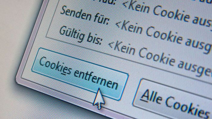 Bundesgerichtshof  prüft Nutzerpräferenzen für Cookies