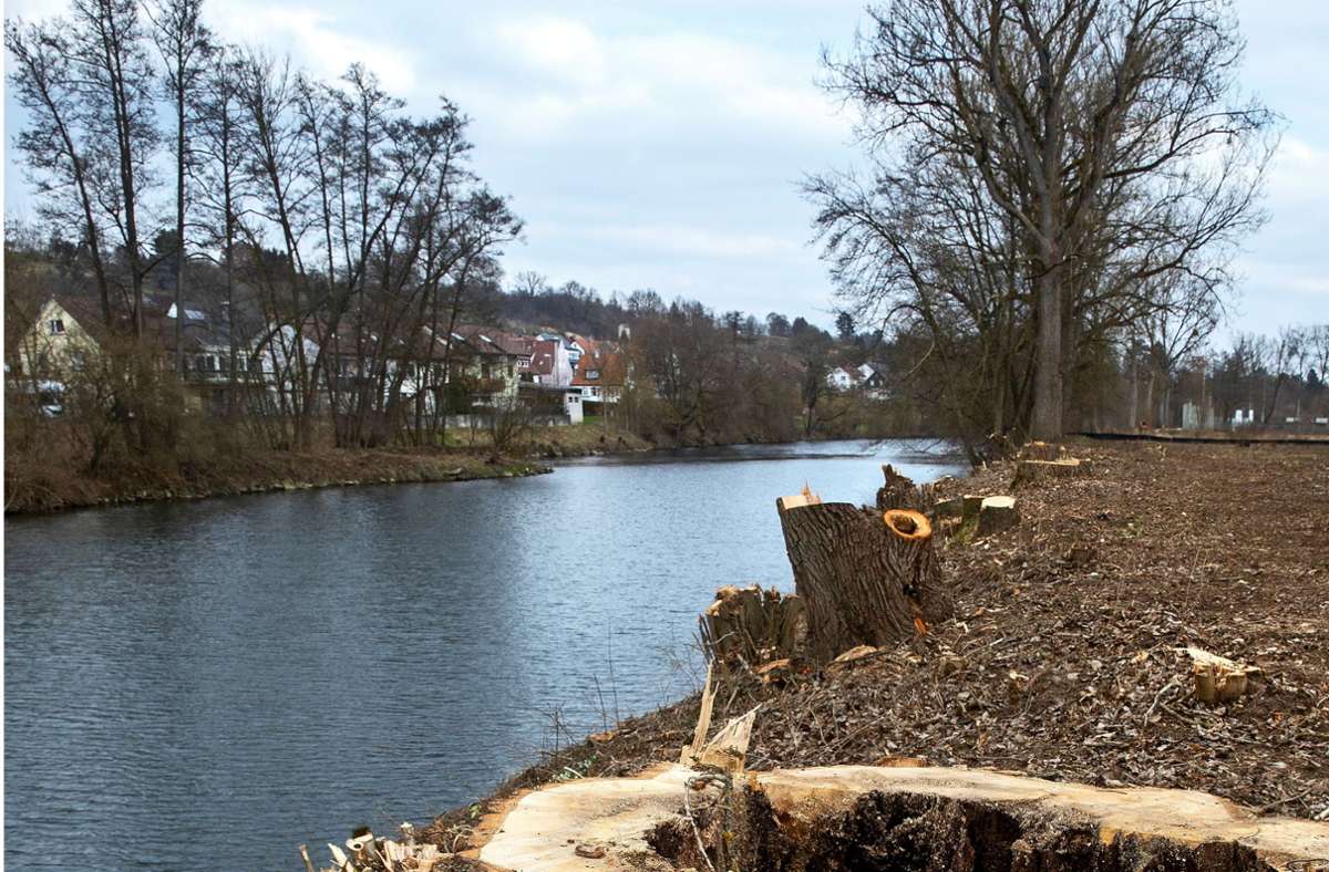 Naturnaher Hochwasserschutz: Nürtingen schafft mehr Raum für den Neckar