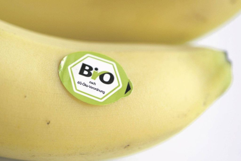 Verbraucher spielten nicht mit: Lidl muss bei Fairtrade-Bananen zurückrudern