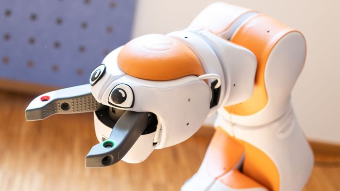 Dialekt bereitet dem Altenheim-Roboter große Probleme