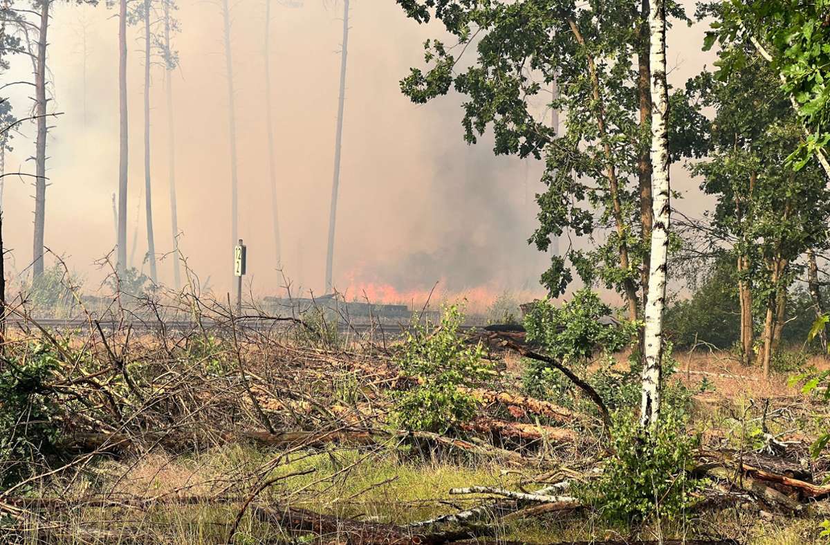 Waldbrände in Brandenburg: Hunderte Menschen werden in Sicherheit gebracht