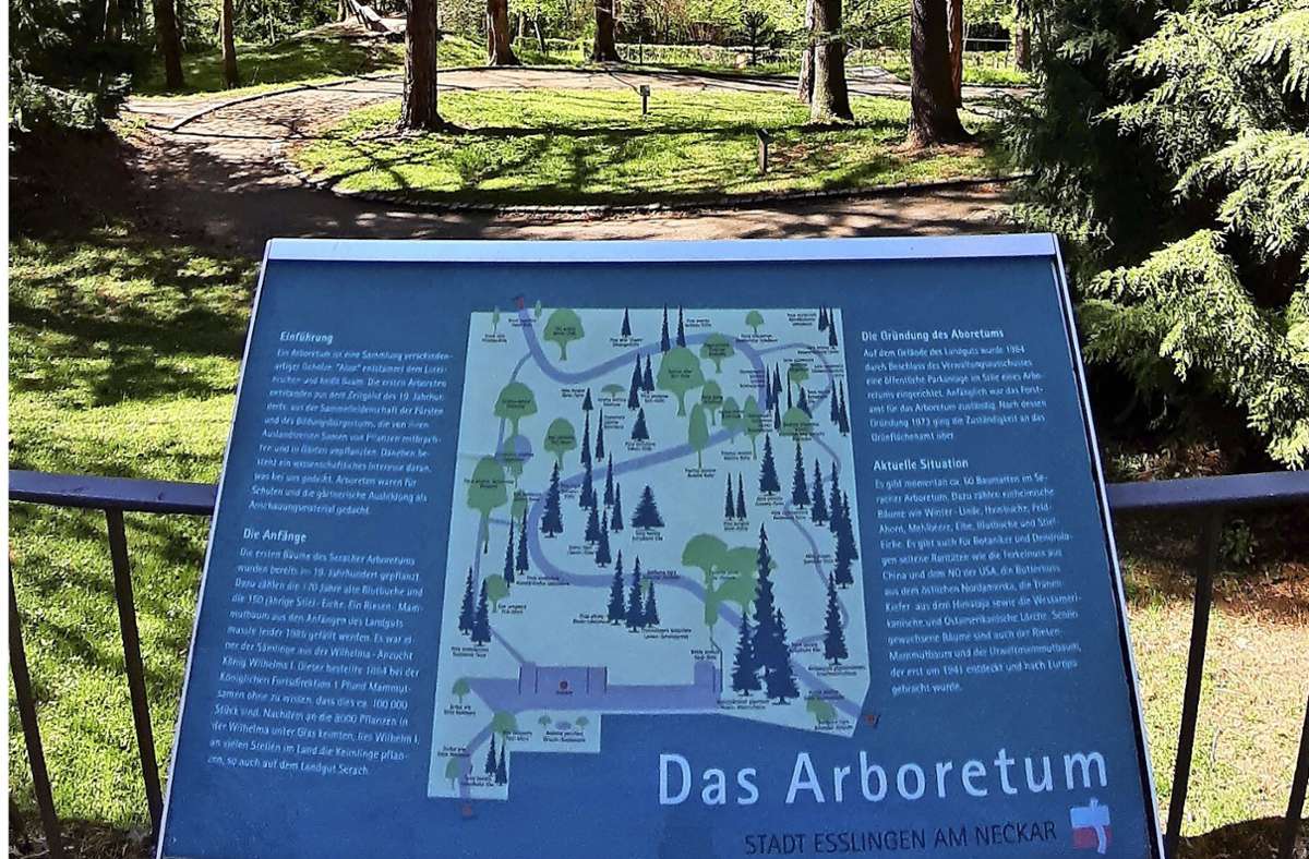 Eine  Tafel gibt Besuchern einen  Überblick über die verschiedenen Bäume auf dem Gelände.