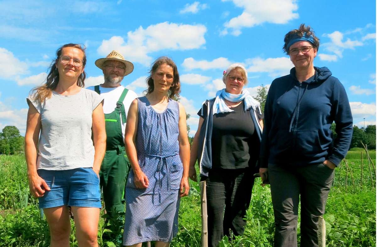 Hobbybauern auf der Schwäbischen Alb: Ein Acker für  alle mitten  auf der Alb