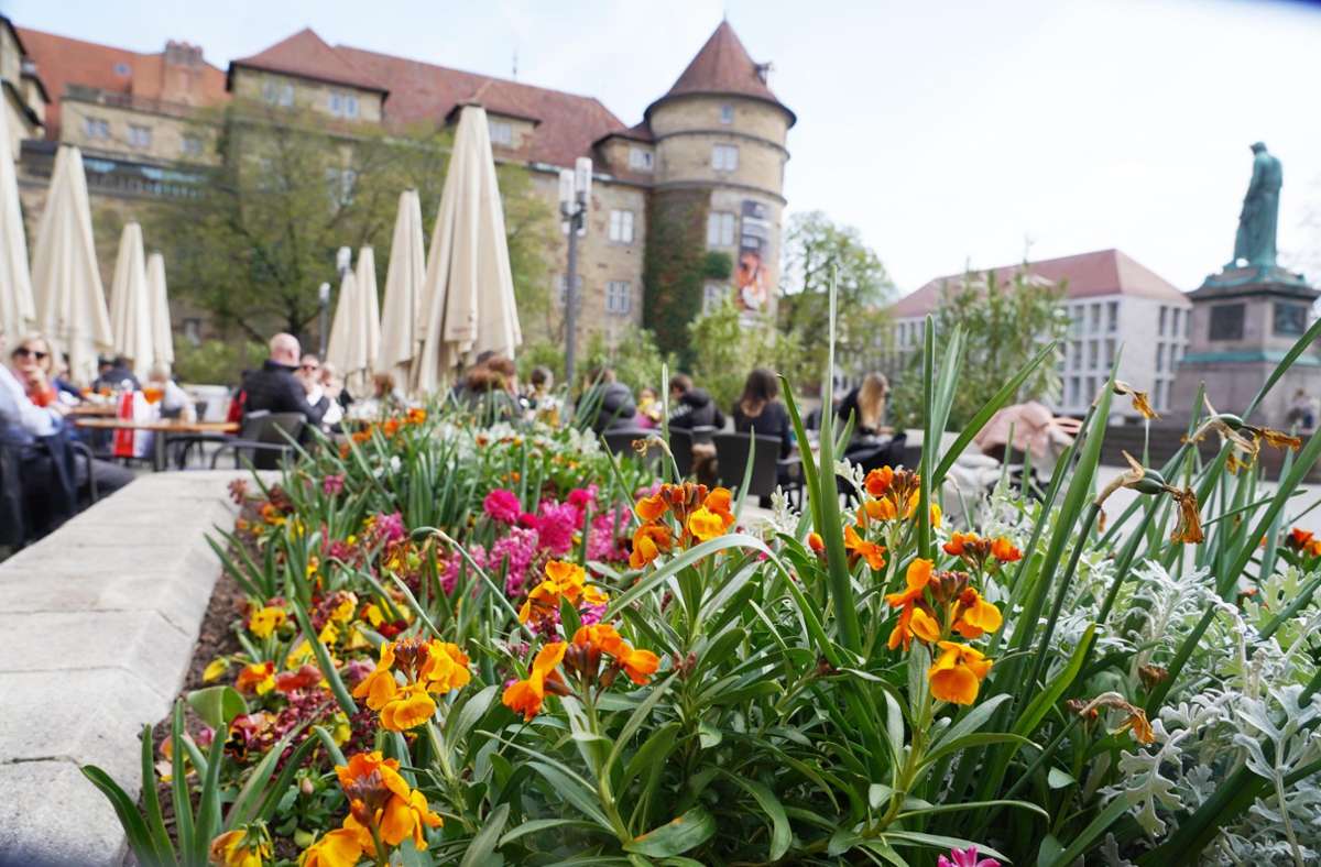 Bunte Blumen in der Stuttgarter City wecken Frühlingsgefühle.