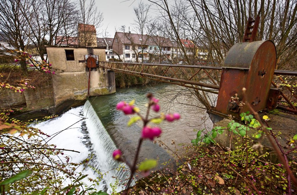 Wasserkraft in Wendlingen: Plan für Kraftwerk  an    Lauter vom Tisch