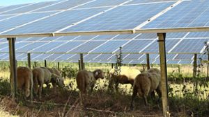 Jedes Jahr  müssten zwei Solarparks ans Netz gehen