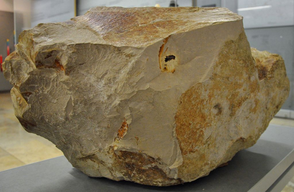 Erster „Außerirdischer“ im Südwesten: Meteoritensplitter entdeckt