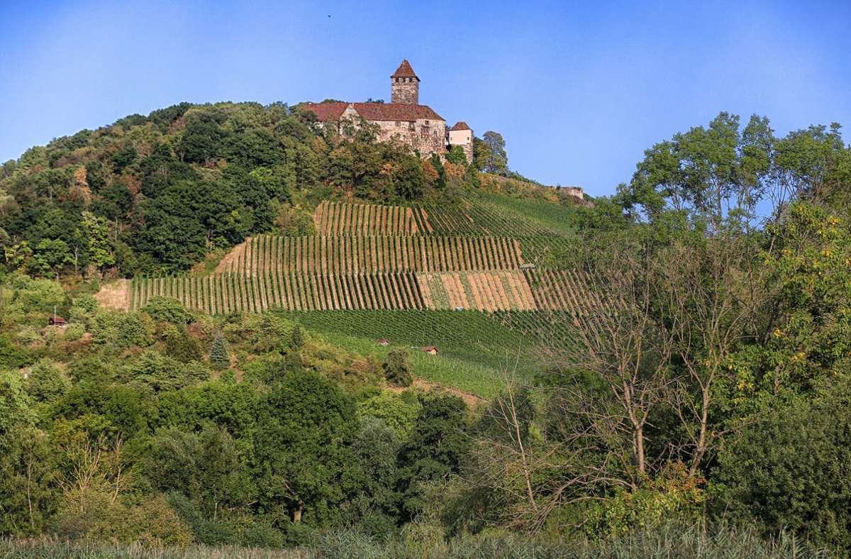 Die Burg Lichtenberg thront auf einem Bergrücken umgeben von Weinbergen.
