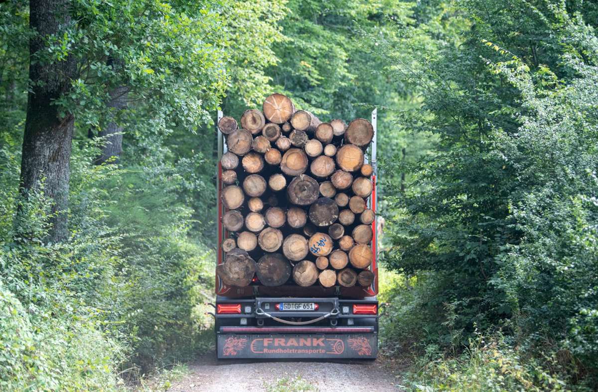 Baden-Württemberg: Kompromiss im Streit um besonders schwere Holztransporte