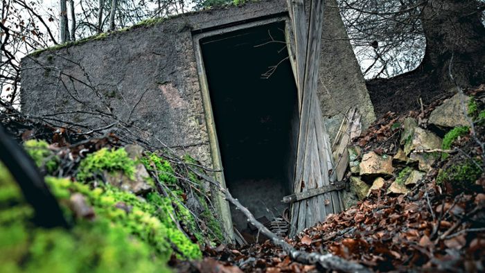 Der verlassene Keller im Wald