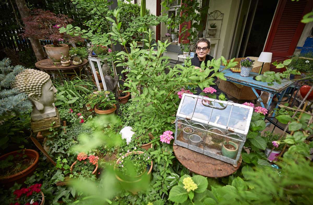 Grüne Oasen im Rems-Murr-Kreis: Kunstvolles in Garten und Wohnung spiegelt sich wider