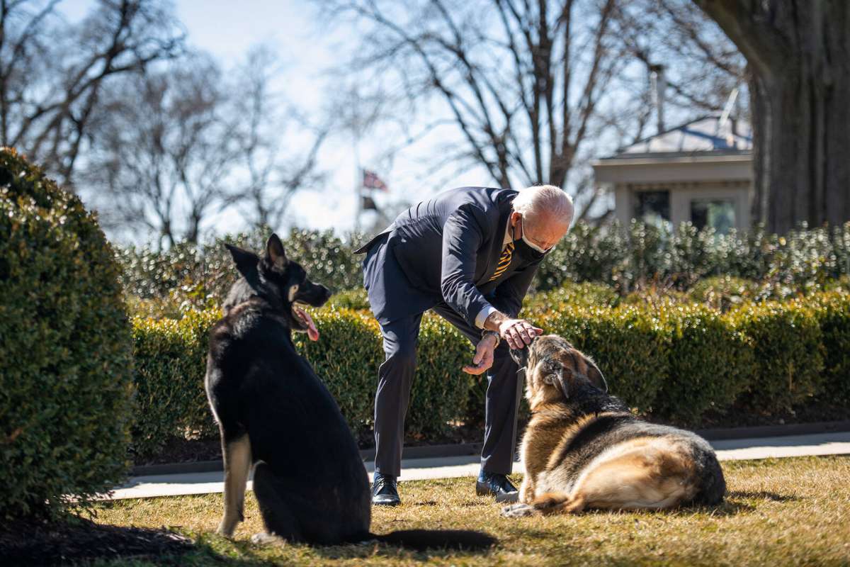 US-Präsident Joe Biden mit seinen ehemaligen Hunden Champ und Major.