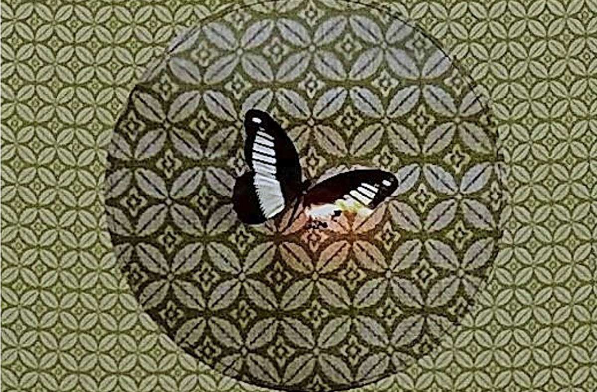Finissage im Gustav-Siegle-Haus Stuttgart: Moosmäntel unter Schmetterlingsfackeln