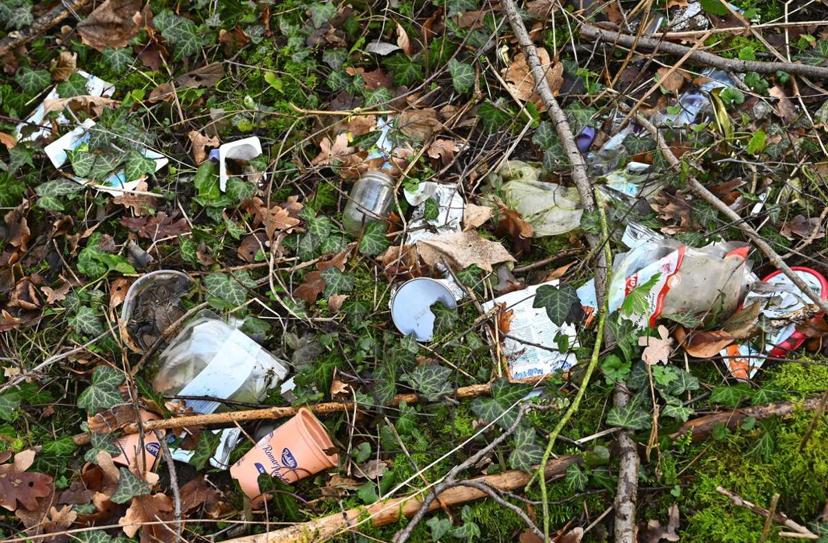 Kreisforstamt Esslingen schlägt Alarm: Wald wird zur illegalen Müllhalde