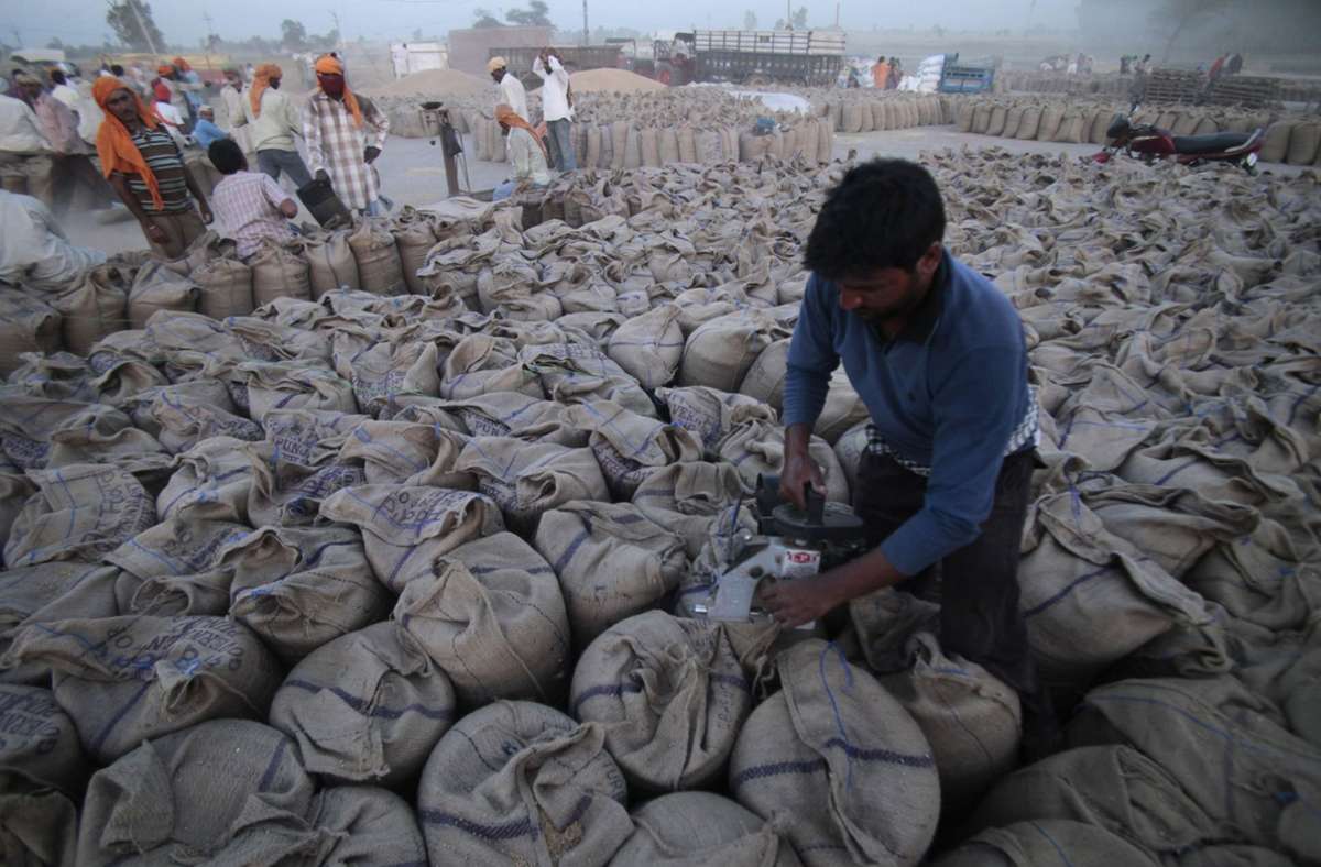 Indische Weizenexporteure hatten seit Kriegsbeginn Exportabkommen mit Ländern wie Ägypten und der Türkei geschlossen. Foto: dpa/Channi Anand