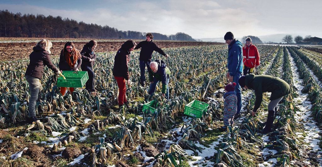 NÜRTINGEN: Die Solidarische Landwirtschaft ist zum Erfolgsmodell geworden - Voller Zuversicht geht es ins dritte Jahr: Vom Acker direkt auf den Teller