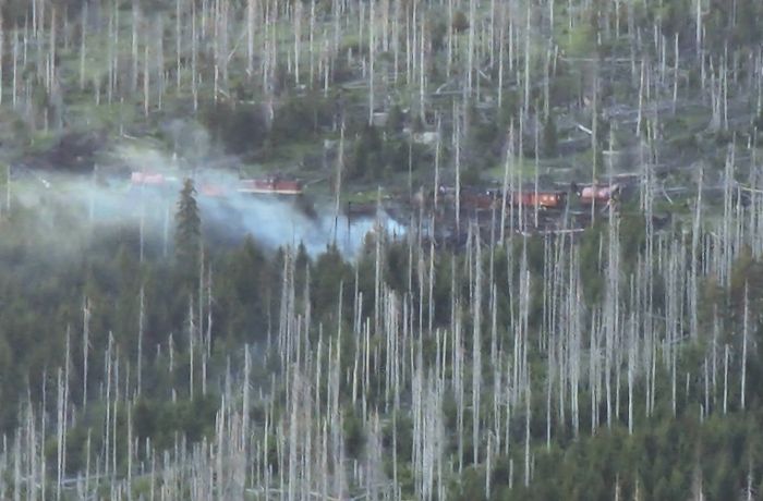 Waldbrand im Harz: Rund 100 Urlauber vom Brocken evakuiert