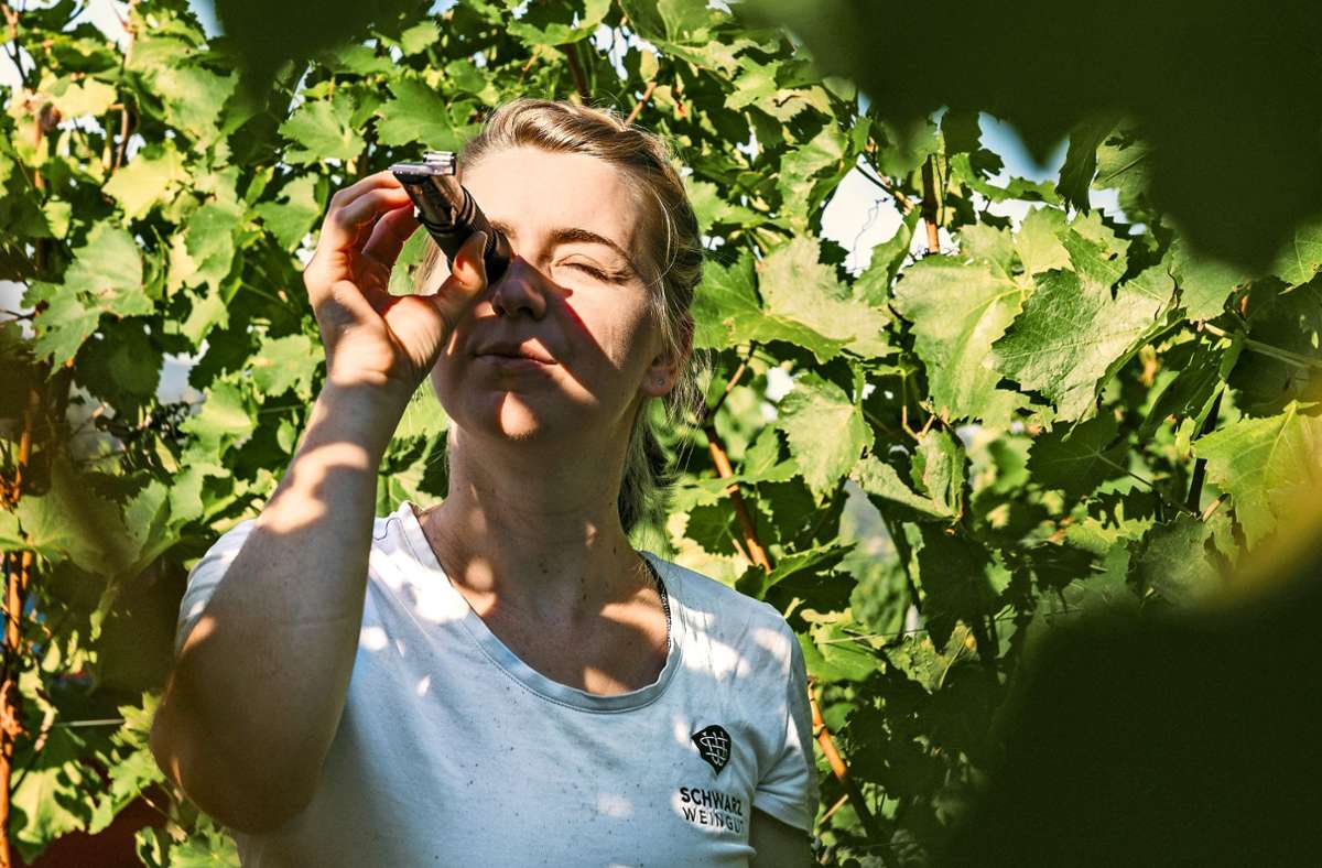 Die Untertürkheimerin  Stefanie Schwarz blickt im Weinberg zurzeit lieber durchs  Refraktometer als in die Zukunft.