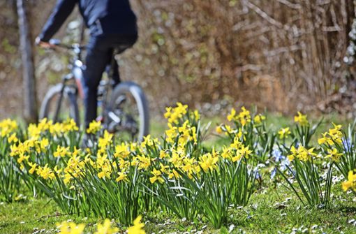 Vor der ersten Radtour bei herrlichem Frühlingswetter sollte das Fahrrad startbereit gemacht werden. Foto: Ines Rudel