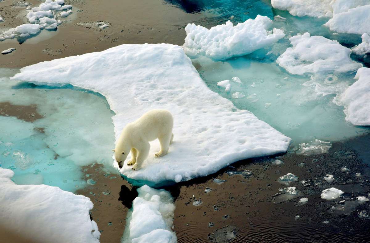 Klimawandel macht Arktis zum Konfliktgebiet: Kein weißer Fleck mehr