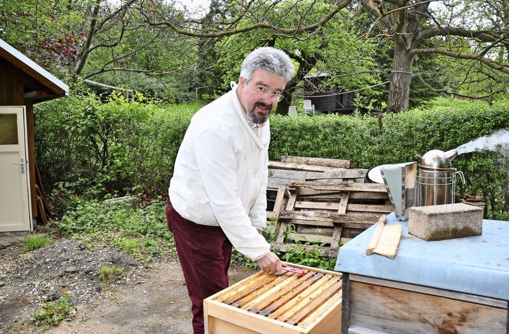 Zahl der Freizeitimker steigt – Im Bienengarten soll eine Insektenweide entstehen: Immer mehr Mitglieder beim Bezirksbienenzüchter-Verein Esslingen