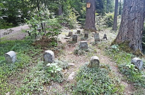 Wo der Hund begraben liegt: Zwischen zwei Schotterwegen im Esslinger Stadtwald befindet sich der kleine Friedhof. Foto: Elke Hauptmann