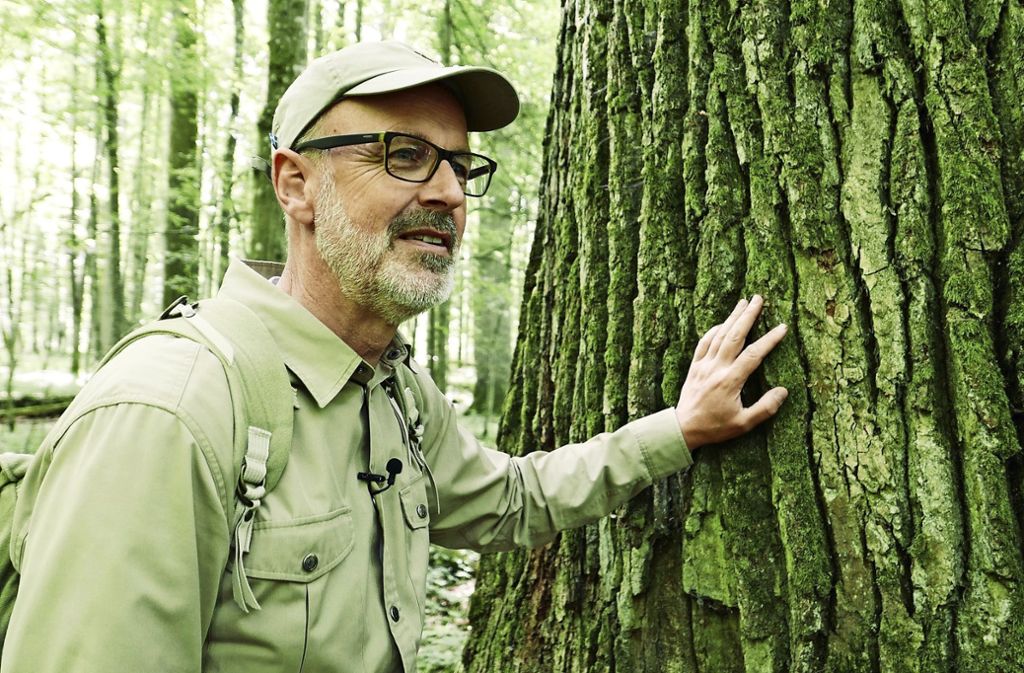 Peter Wohlleben liebt den Wald und dessen Bewohner. Foto: Constantin Film -  Constantin Film