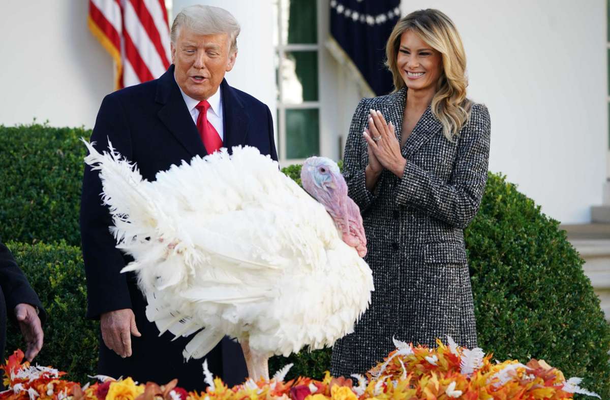 Donald Trump bei Thanksgiving-Tradition: „Lahme Ente“ begnadigt Truthahn