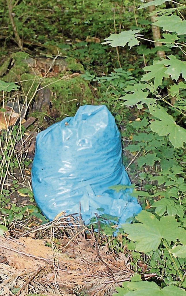 KREIS ESSLINGEN:  Auch Gras und Grünschnitt gelten rechtlich als Abfall: Mülldepots sind kein Kavaliersdelikt