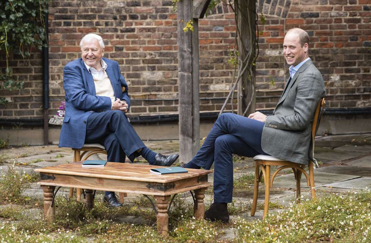 Earthshot Prize: Prinz William und David Attenborough gründen Umweltpreis