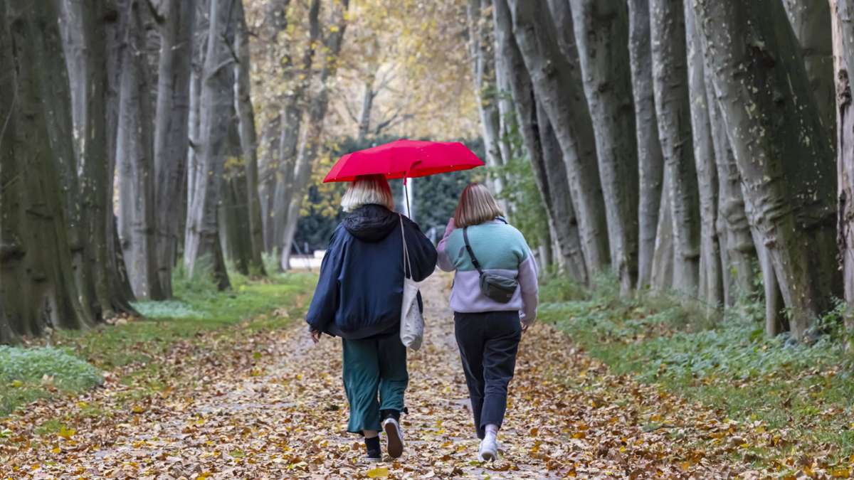 Wetter in Baden-Württemberg: Milde Temperaturen und Regen zum Wochenstart