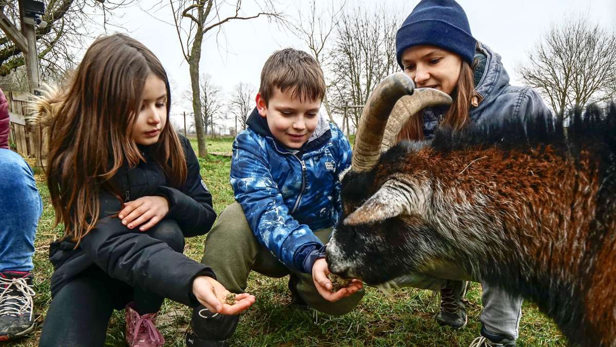 Jugendfarm Kornwestheim: Tierführerschein: Studentinnen bieten  neuartiges Projekt an