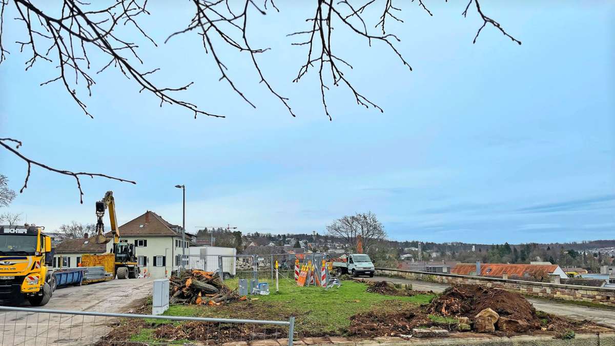 Schlossberg-Bebauung in Böblingen: Bäume mussten archäologischen Grabungen weichen