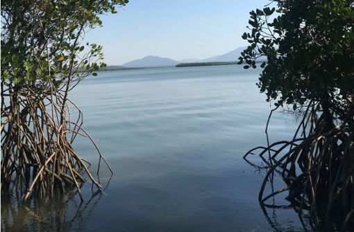 Blick von der Insel Worthington Island aufs Wasser Foto: dpa/Privat