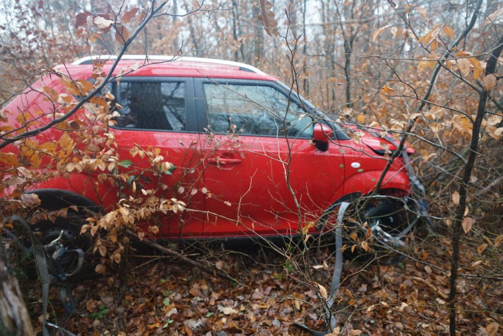 Das Tier verendete an der Unfallstelle, am Auto entstand Totalschaden: Esslingen: Auto fährt nach Wildunfall Böschung hinunter