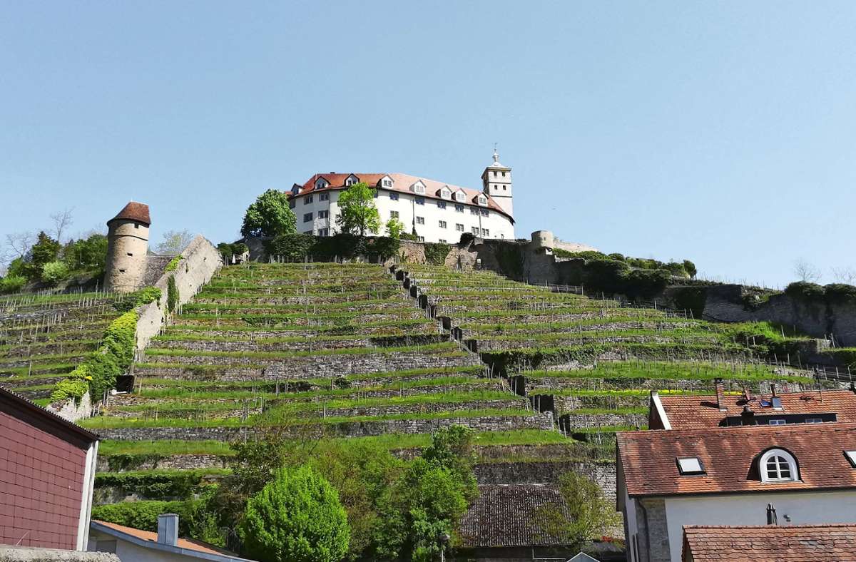 Schloss Kaltenstein thront hoch über der Kernstadt von Vaihingen/Enz auf einem 271 Meter hohen Muschelkalkfelsen. Erwähnt wurde es  erstmals im Jahr 1096. Foto: StZN