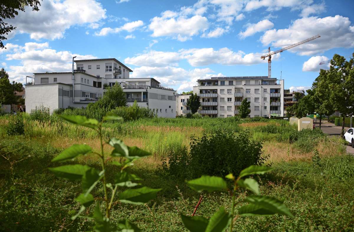 Bauprojekt in Leinfelden: Kritik an Plänen für  neues Seniorenheim ebbt nicht ab