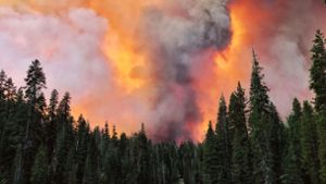 Waldbrand versperrt 1000 Campern den Fluchtweg