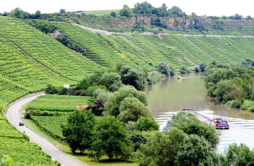 Die Hessigheimer Felsengärten sind einen Ausflug wert - dort zeigt sich der Neckar von seiner schönsten Seite. Weitere Tipps sammeln wir in der Bildergalerie.  Foto: dpa