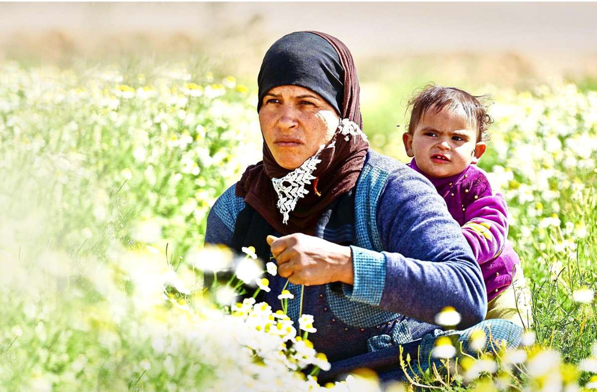 Das Kamillenfeld bietet Frauen aus dem Dorf Arbeit vor Ort. Foto: Ge/hard von Kapff