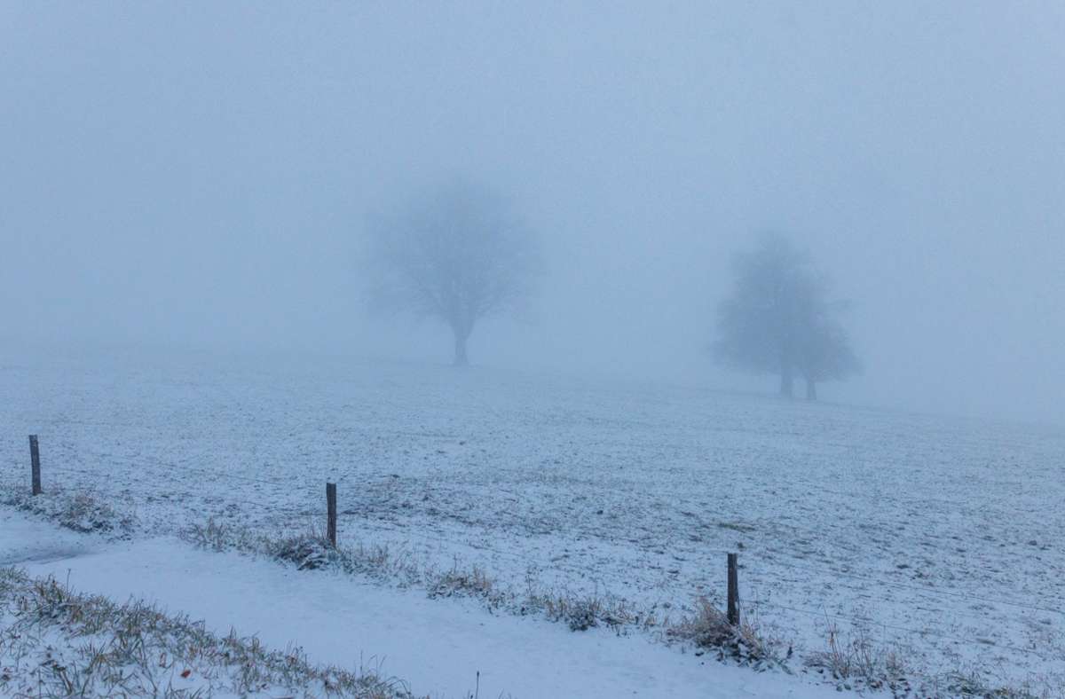 Baden-Württemberg: Nach dem ersten Schnee – so wird das Wetter am Wochenende