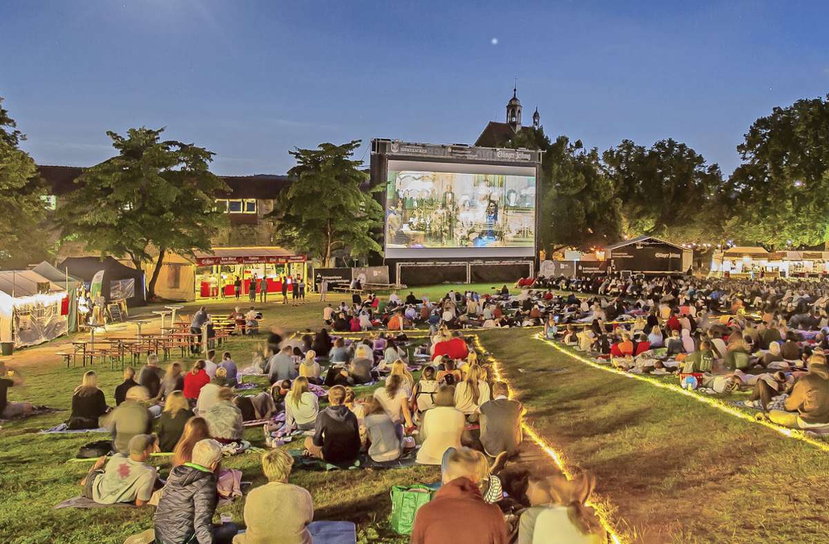 So lässt sich Kino in lauschigen Sommernächten besonders angenehm genießen: Das Filmfestival auf der Esslinger Burg stand einmal mehr unter einem günstigen Stern. Foto: Roberto Bulgrin