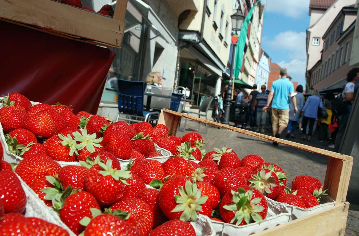 Esslingen: Erdbeerfest in der Küferstraße