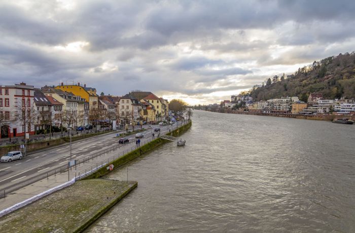Heidelberg: Mann flüchtet vor Alkoholkontrolle mit Kopfsprung in den Neckar