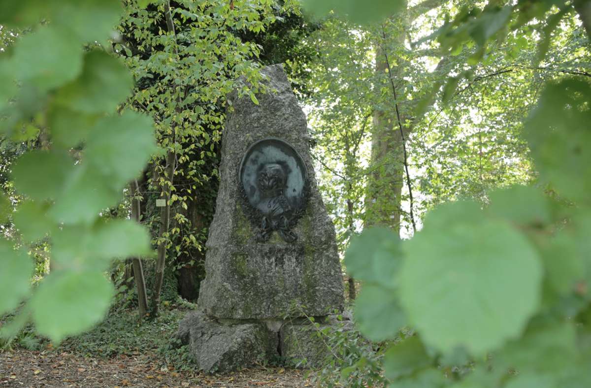 Ausflüge  in Stuttgart und der Region: Für Baumfreunde und Naturliebhaber: Der Schlosspark Hohenheim