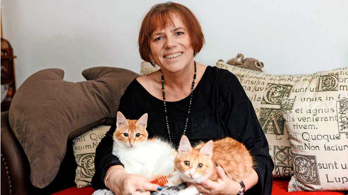 Tierschützerin aus Grafenau: „Ich habe das Katzen-Gen“