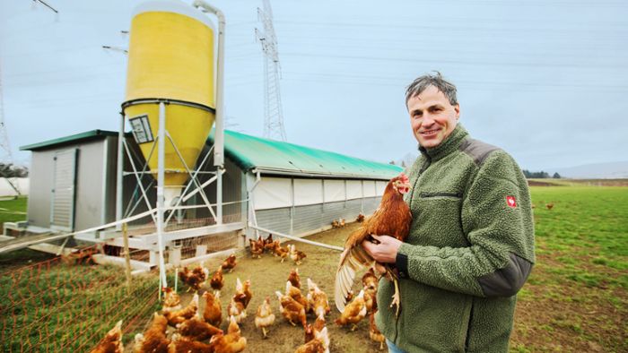 Hühnerhalter im Kreis Esslingen: So wappnen sich Landwirte für die Geflügelpest